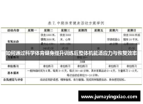 如何通过科学体育健身提升训练后整体机能适应力与恢复效率