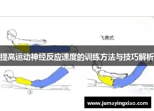 提高运动神经反应速度的训练方法与技巧解析