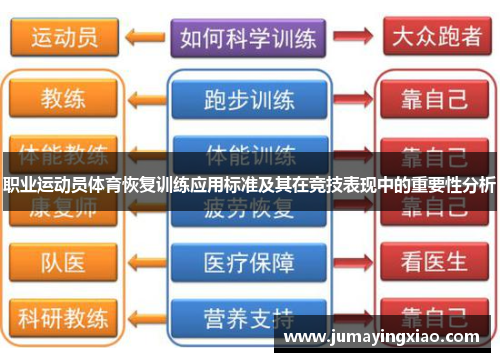 职业运动员体育恢复训练应用标准及其在竞技表现中的重要性分析