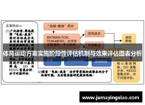 体育运动方案实施阶段性评估机制与效果评估图表分析